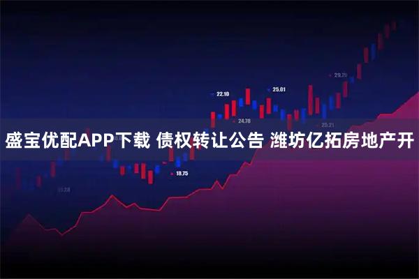 盛宝优配APP下载 债权转让公告 潍坊亿拓房地产开